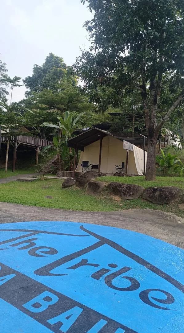 TheTribe Tent di tengah kehijauan tapak